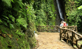 Hanging Bridges Entrance Ticket