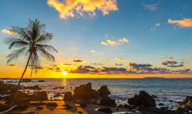 Private Transportation Playa Tamarindo - La Fortuna 11-18 passengers
