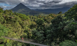 Mi Viaje activities and recommendations