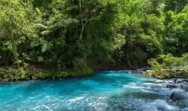 Rio Celeste Hike - No transportation included