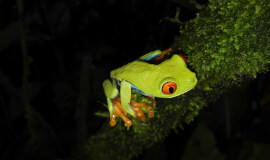 Night Hike at Natura Eco Park