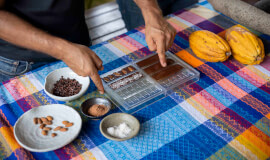 Chocolate Making Tour by Two Little Monkeys