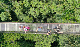 Hike To Hanging Bridges, Arenal Volcano and Fortuna Waterfall