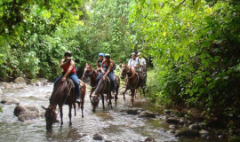 Horseback riding to the waterfall