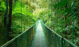 Private Transportation Monteverde - La Fortuna 1-5 passengers