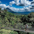 Arenal Hanging Bridges on a Guided Hike in La Fortuna, Costa Rica