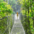 Hike and Nature I Mistico hanging bridges and Arenal Volcano hike