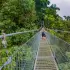 Hanging Bridges Guided Tour Without Transportation