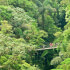 Arenal Hanging Bridges on a Guided Hike in La Fortuna, Costa Rica