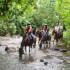 Horseback riding to the waterfall