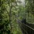 Arenal Hanging Bridges on a Guided Hike in La Fortuna, Costa Rica