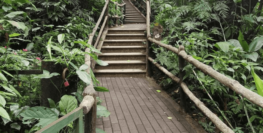Hanging Bridges & La Fortuna Waterfall Combo Tour