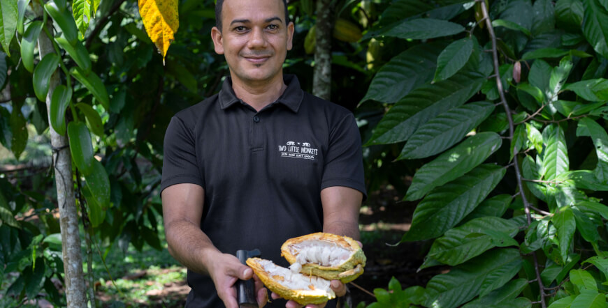 Chocolate Making Tour by Two Little Monkeys