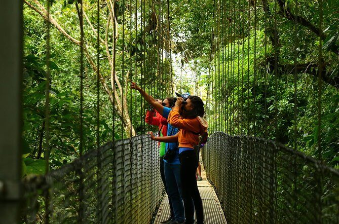 Hanging Bridges Entrance Ticket