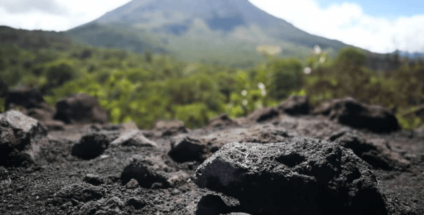 Hike and Nature I Mistico hanging bridges and Arenal Volcano hike