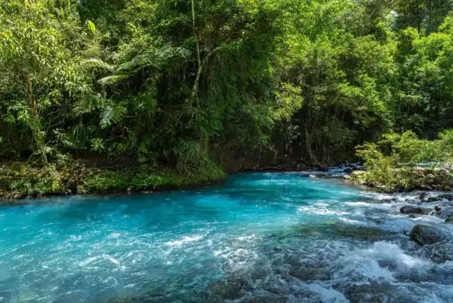 Rio Celeste Hike - No transportation included