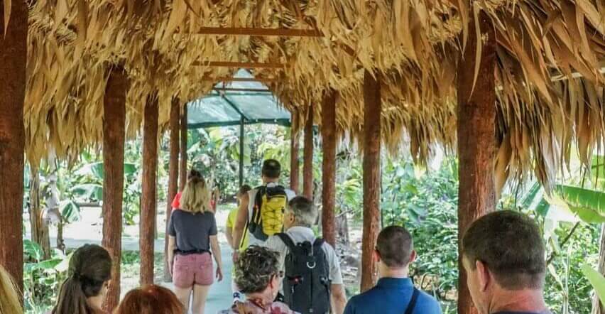 Coffee & Chocolate Tour in La Fortuna – Discover Costa Rica’s Most Delicious Traditions