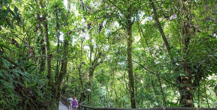 Arenal Hanging Bridges on a Guided Hike in La Fortuna, Costa Rica