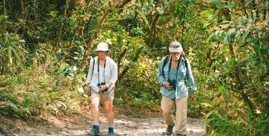 Waterfall & Volcano Tour – Nature’s Best in One Day