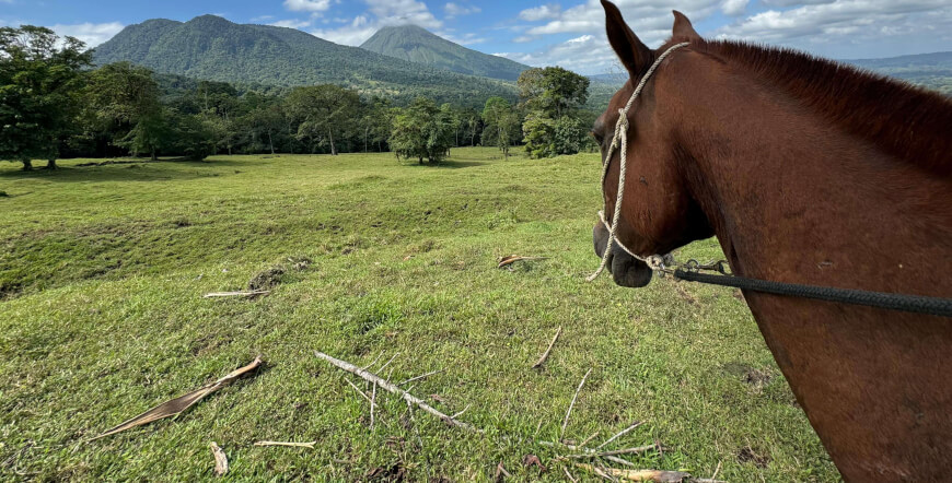 Ama Ride: Zipline, Maleku Culture & Horseback Adventure in the Rainforest