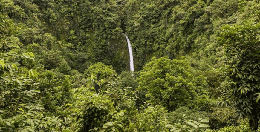 Hanging Bridges & La Fortuna Waterfall Combo Tour