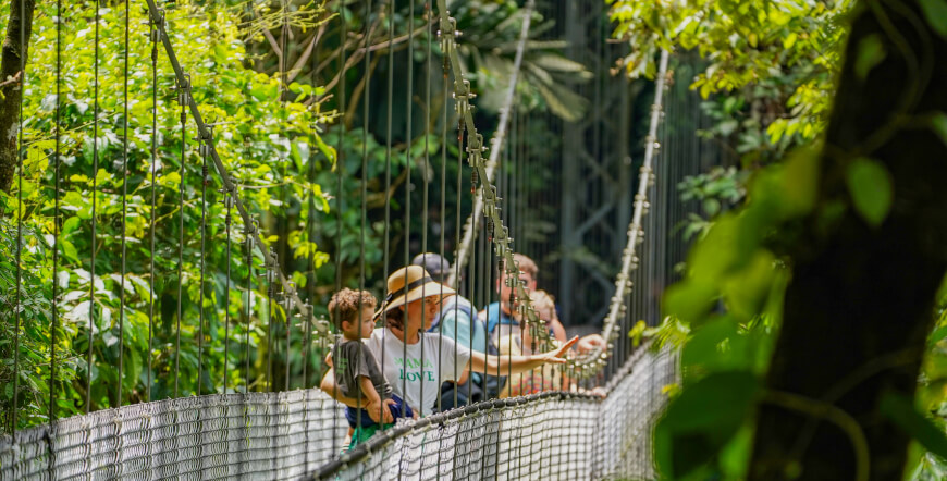 Hike and Nature I Mistico hanging bridges and Arenal Volcano hike