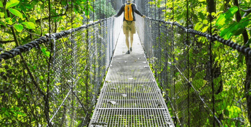 Hike and Nature I Mistico hanging bridges and Arenal Volcano hike