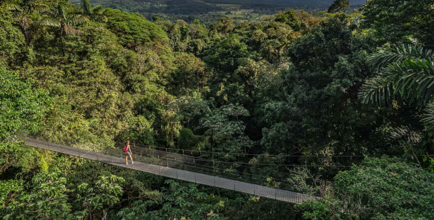 Hanging Bridges Entrance Ticket
