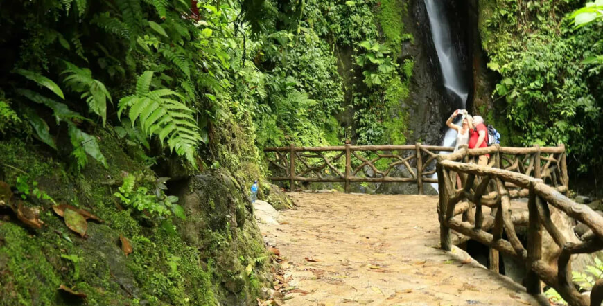 Hanging Bridges Guided Tour Without Transportation