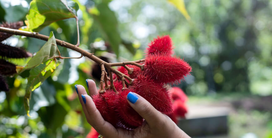Chocolate Making Tour by Two Little Monkeys