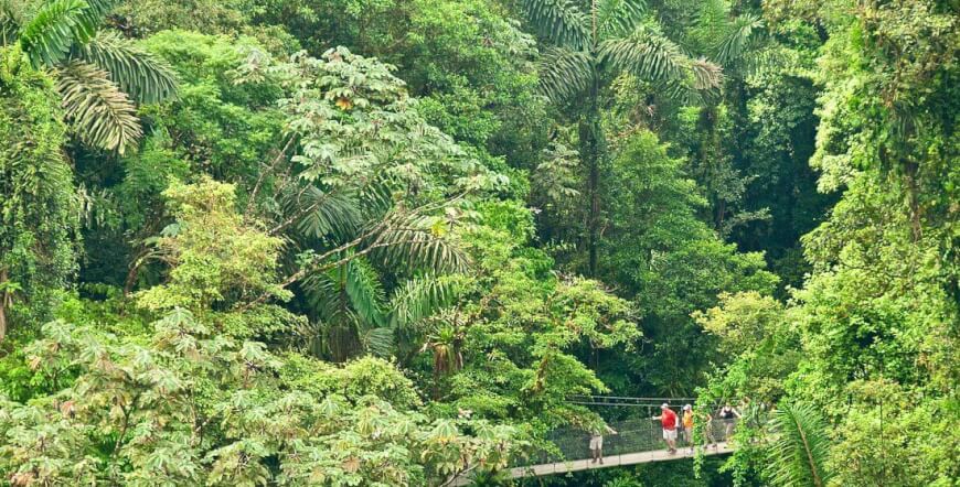 Arenal Hanging Bridges on a Guided Hike in La Fortuna, Costa Rica