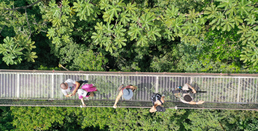 Hike To Hanging Bridges, Arenal Volcano and Fortuna Waterfall