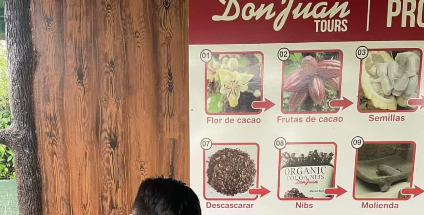 Coffee & Chocolate Tour in La Fortuna – Discover Costa Rica’s Most Delicious Traditions