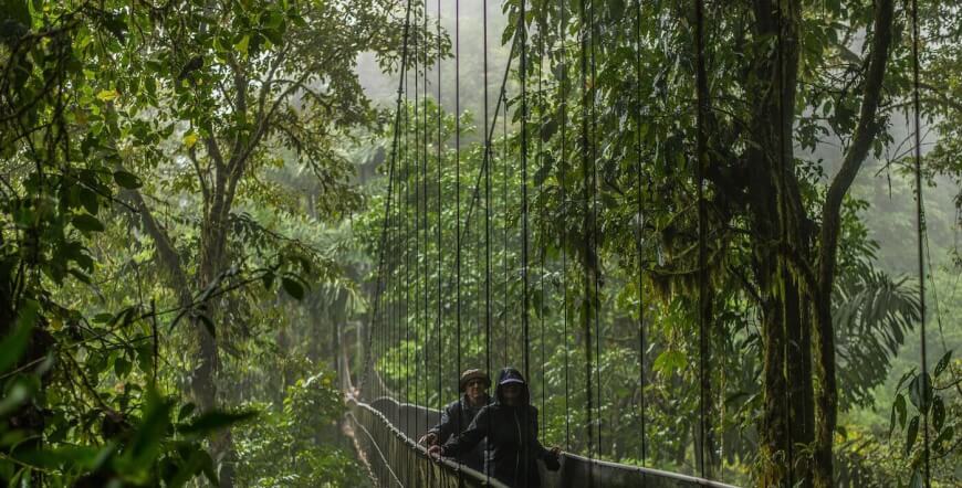 Arenal Hanging Bridges on a Guided Hike in La Fortuna, Costa Rica